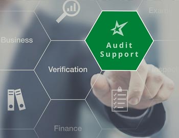 Audit Support